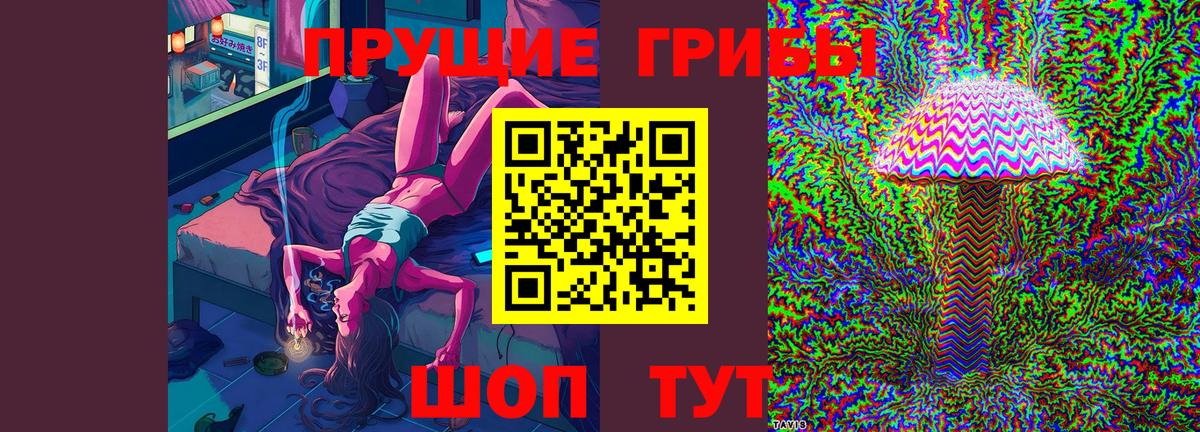 Галлюциногенные грибы Magic Shrooms Новороссийск