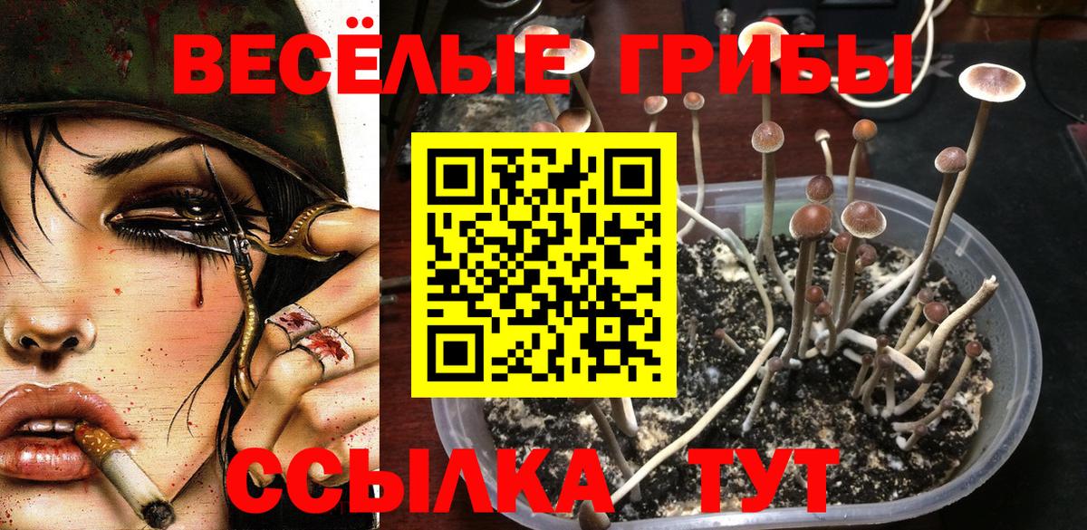 Галлюциногенные грибы Cubensis  Вход с VPN  Новороссийск 